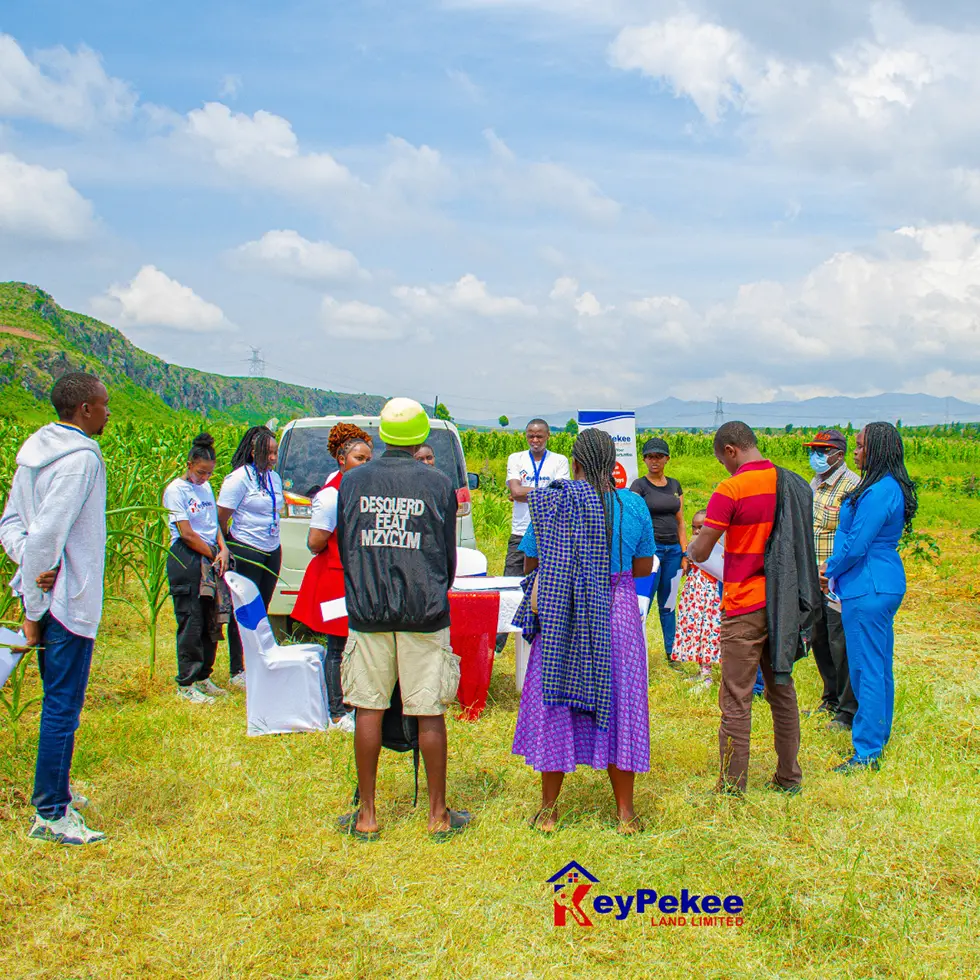 Prime Investment Plots in Malindi